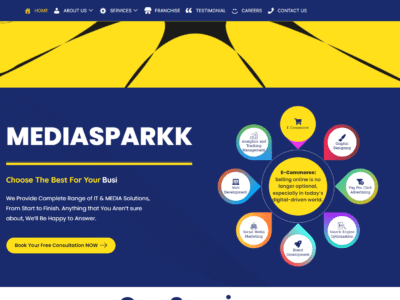 mediasparkk digital marketing company ajmer india