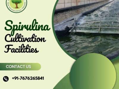 Spirulina Cultivation | Sustainable Farming for Quality Spirulina