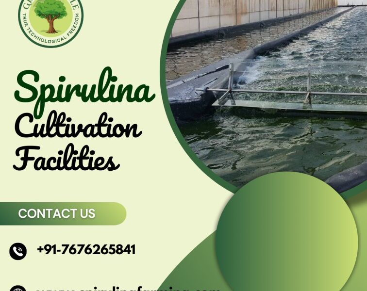 Spirulina Cultivation | Sustainable Farming for Quality Spirulina