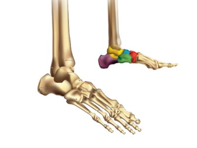 Finding the Best Orthopaedic Hospital and Surgeon in Jaipur