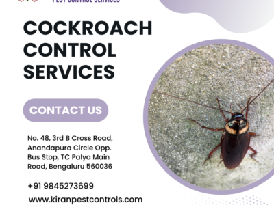 Cockroach Control Services in Kanakapura Road | Safe Trusted